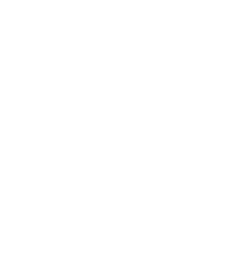 DAMA International